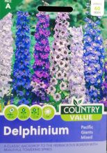 Delphinium Pacific Giant Mixed Seeds
